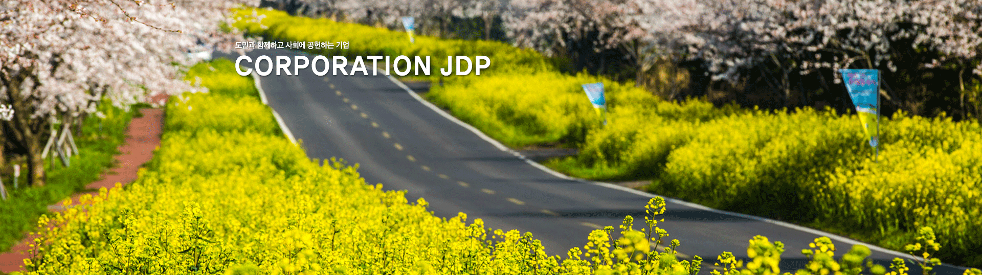 주식회사 JDP