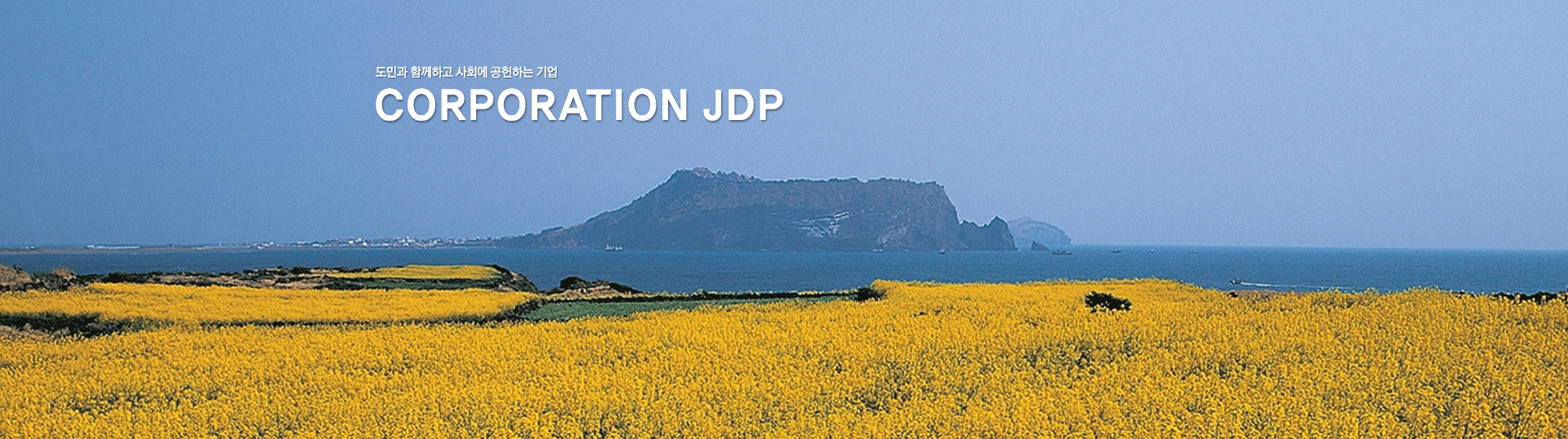 주식회사 JDP